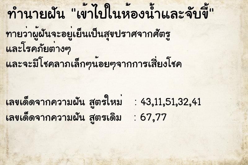 ทำนายฝันทำนายฝันเข้าไปในห้องน้ำและจับขี้