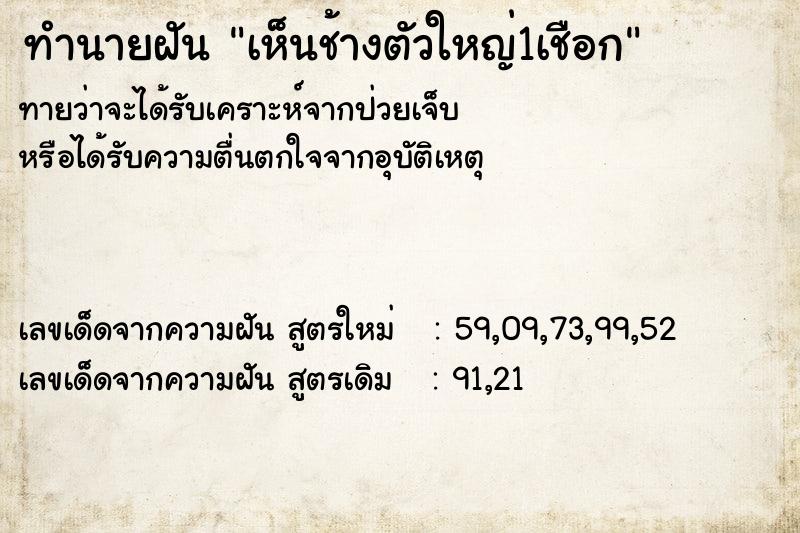 ทำนายฝันทำนายฝันเห็นช้างตัวใหญ่1เชือก