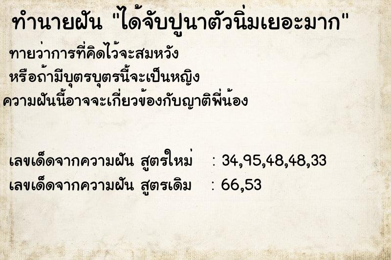 ทำนายฝันทำนายฝันได้จับปูนาตัวนิ่มเยอะมาก