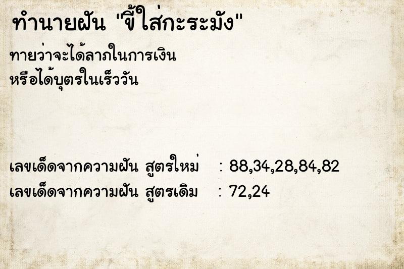 ทำนายฝันขี้ใส่กะระมัง ทำนายฝันทำนายฝันขี้ใส่กะระมัง
