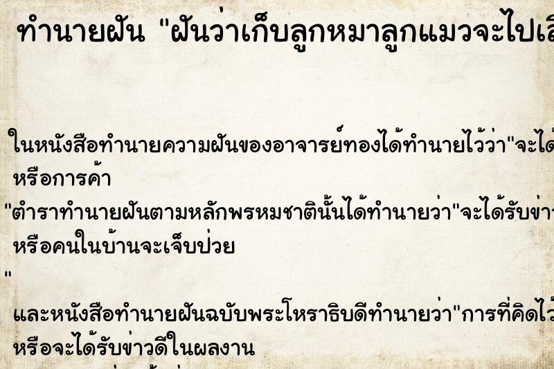 ทำนายฝันฝันว่าเก็บลูกหมาลูกแมวจะไปเลี้ยง ทำนายฝันทำนายฝันฝันว่าเก็บลูกหมาลูกแมวจะไปเลี้ยง