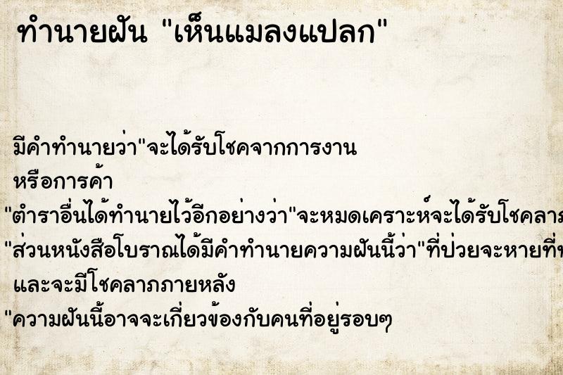 ทำนายฝันทำนายฝันเห็นแมลงแปลก