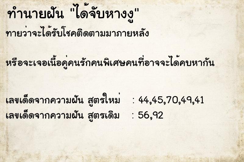 ทำนายฝันทำนายฝันได้จับหางงู
