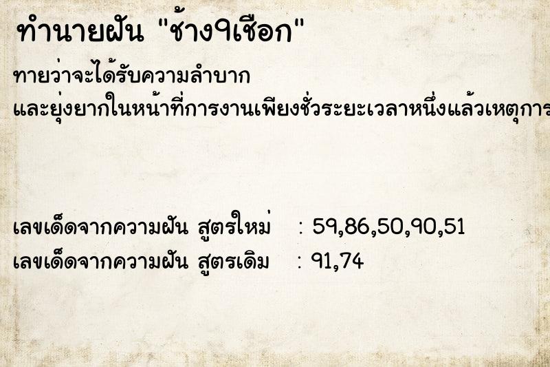 ทำนายฝันทำนายฝันช้าง9เชือก