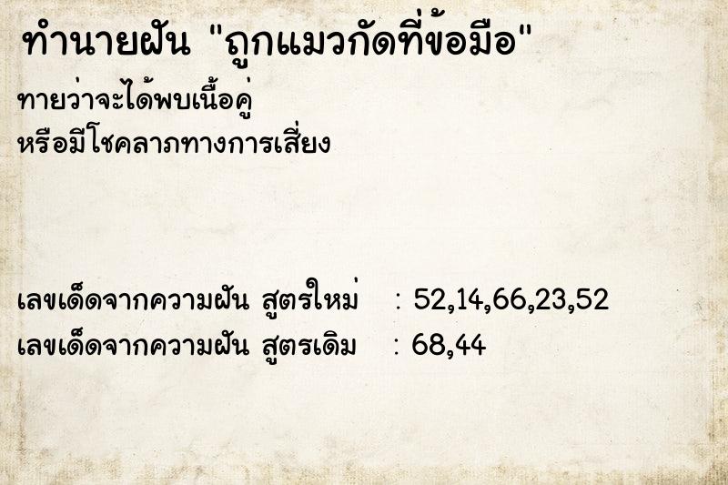 ทำนายฝันทำนายฝันถูกแมวกัดที่ข้อมือ