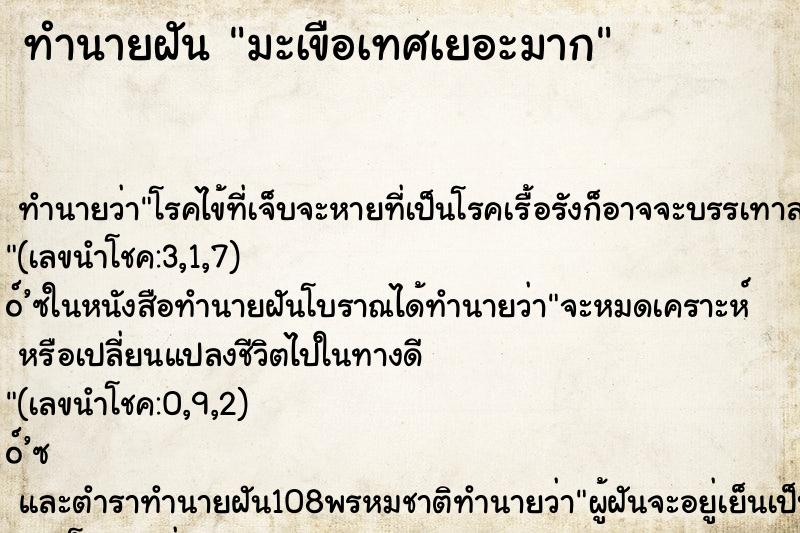 ทำนายฝัน มะเขือเทศเยอะมาก ตำราโบราณ แม่นที่สุดในโลก