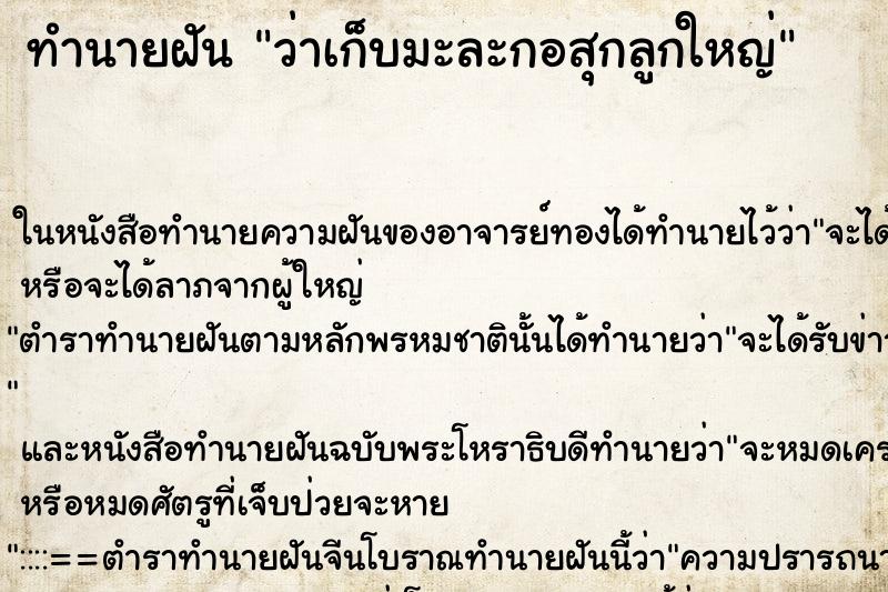 ทำนายฝันว่าเก็บมะละกอสุกลูกใหญ่ ทำนายฝันทำนายฝันว่าเก็บมะละกอสุกลูกใหญ่