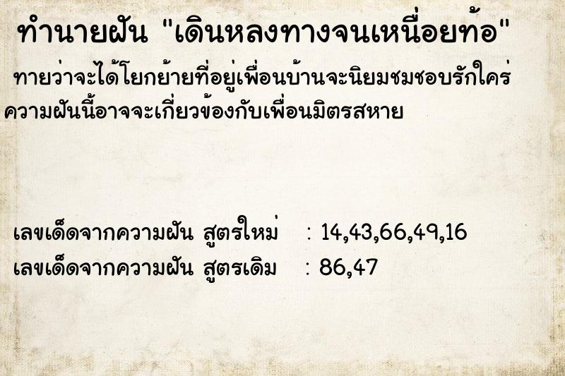 ทำนายฝันทำนายฝันเดินหลงทางจนเหนื่อยท้อ