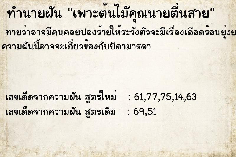 ทำนายฝันทำนายฝันเพาะต้นไมัคุณนายตื่นสาย