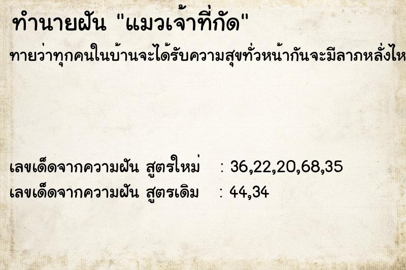 ทำนายฝันทำนายฝันแมวเจ้าที่กัด