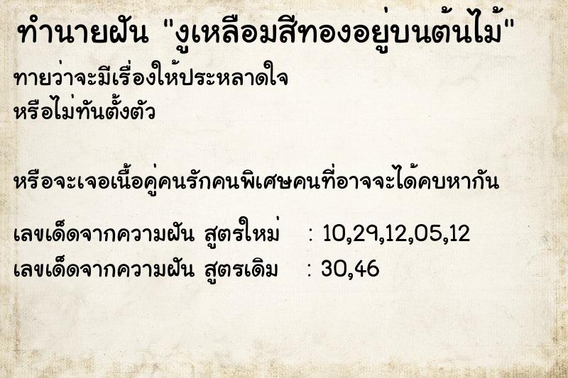 ทำนายฝันงูเหลือมสีทองอยู่บนต้นไม้ ทำนายฝันทำนายฝันงูเหลือมสีทองอยู่บนต้นไม้