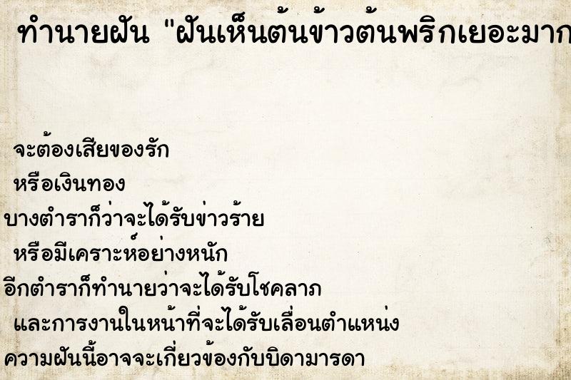 ทำนายฝันฝันเห็นต้นข้าวต้นพริกเยอะมาก ทำนายฝันทำนายฝันฝันเห็นต้นข้าวต้นพริกเยอะมาก