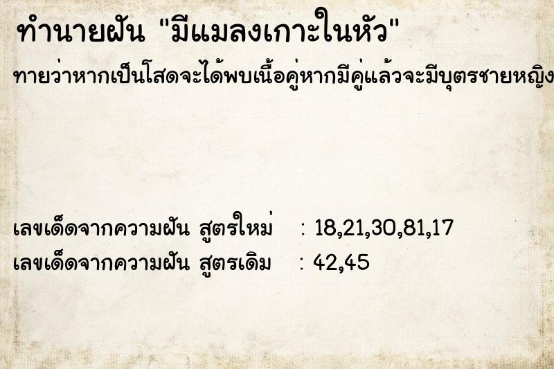 ทำนายฝันทำนายฝันมีแมลงเกาะในหัว