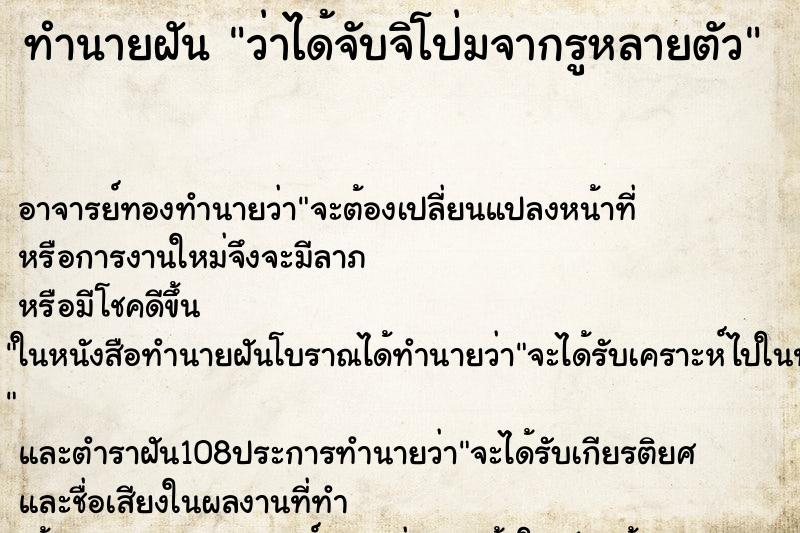 ทำนายฝันว่าได้จับจิโป่มจากรูหลายตัว ทำนายฝันทำนายฝันว่าได้จับจิโป่มจากรูหลายตัว