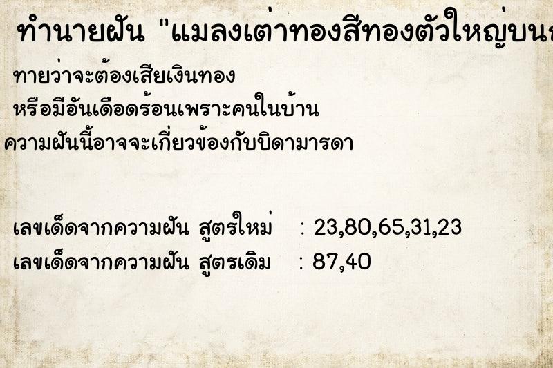 ทำนายฝันแมลงเต่าทองสีทองตัวใหญ่บนถนน ทำนายฝันทำนายฝันแมลงเต่าทองสีทองตัวใหญ่บนถนน