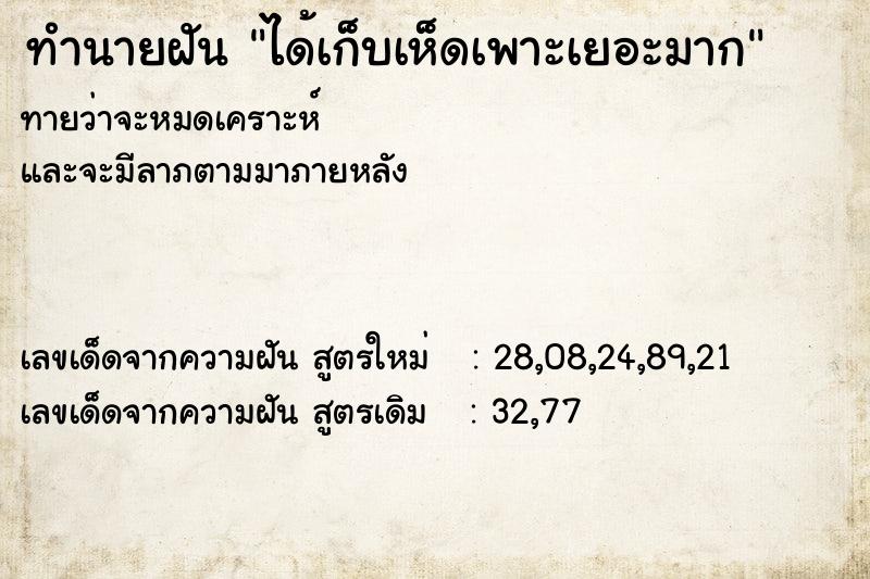 ทำนายฝันทำนายฝันได้เก็บเห็ดเพาะเยอะมาก
