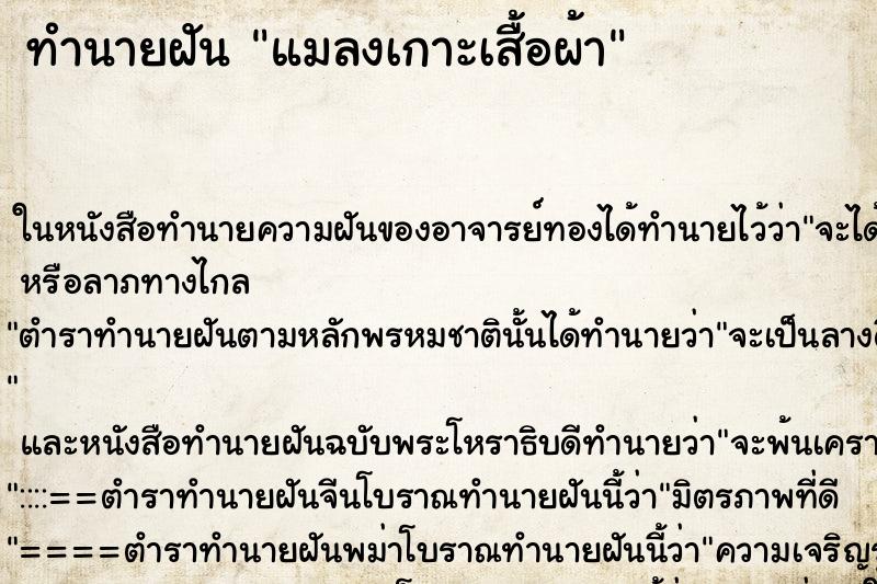 ทำนายฝันทำนายฝันแมลงเกาะเสื้อผ้า