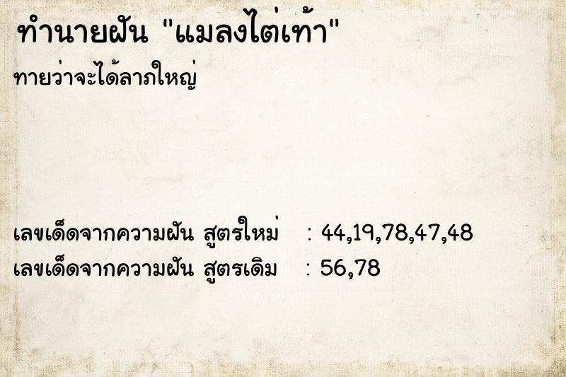 ทำนายฝันทำนายฝันแมลงไต่เท้า