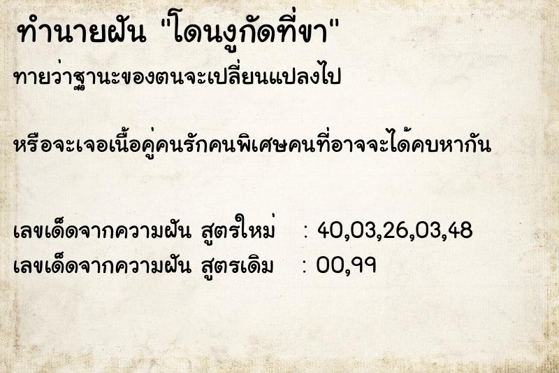 ทำนายฝันทำนายฝันโดนงูกัดที่ขา