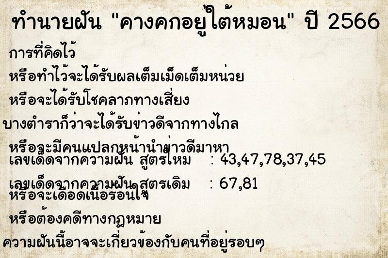 ทำนายฝันทำนายฝันคางคกอยู่ใต้หมอน