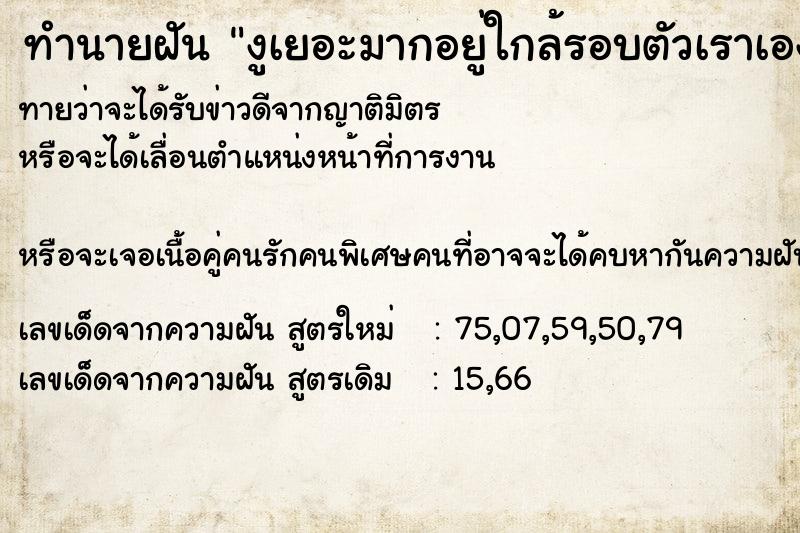 ทำนายฝันงูเยอะมากอยู่ใกล้รอบตัวเราเอง ทำนายฝันทำนายฝันงูเยอะมากอยู่ใกล้รอบตัวเราเอง
