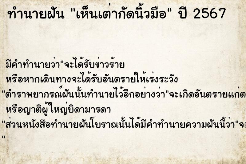 ทำนายฝันทำนายฝันเห็นเต่ากัดนิ้วมือ