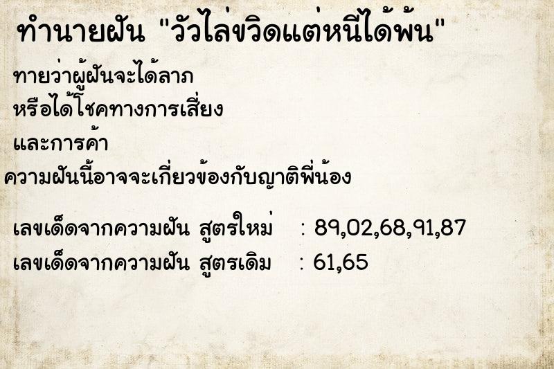 ทำนายฝันวัวไล่ขวิดแต่หนีได้พ้น ทำนายฝันทำนายฝันวัวไล่ขวิดแต่หนีได้พ้น