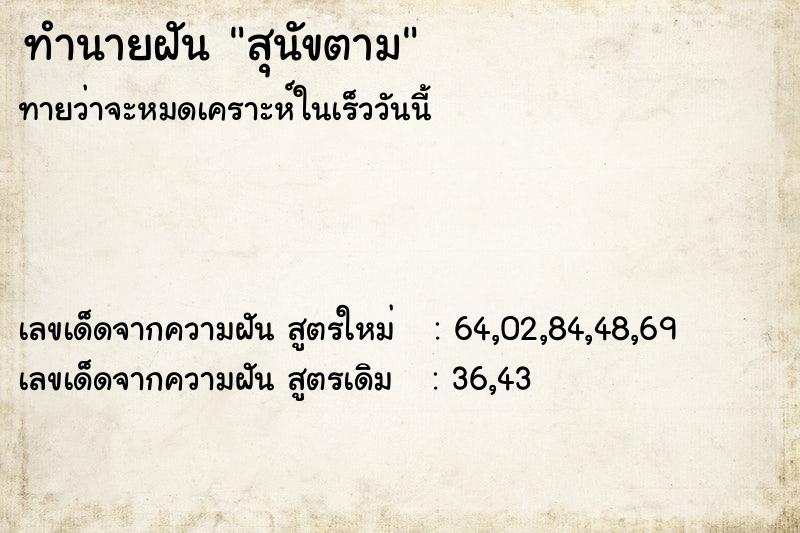 ทำนายฝัน สุนัขตาม ทำนายฝัน สุนัขตาม