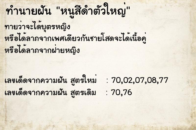 ทำนายฝันทำนายฝันหนูสีดำตัวใหญ่