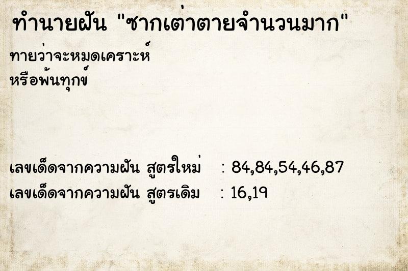 ทำนายฝันซากเต่าตายจำนวนมาก ทำนายฝันทำนายฝันซากเต่าตายจำนวนมาก