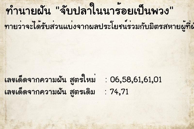 ทำนายฝันทำนายฝันจับปลาในนาร้อยเป็นพวง