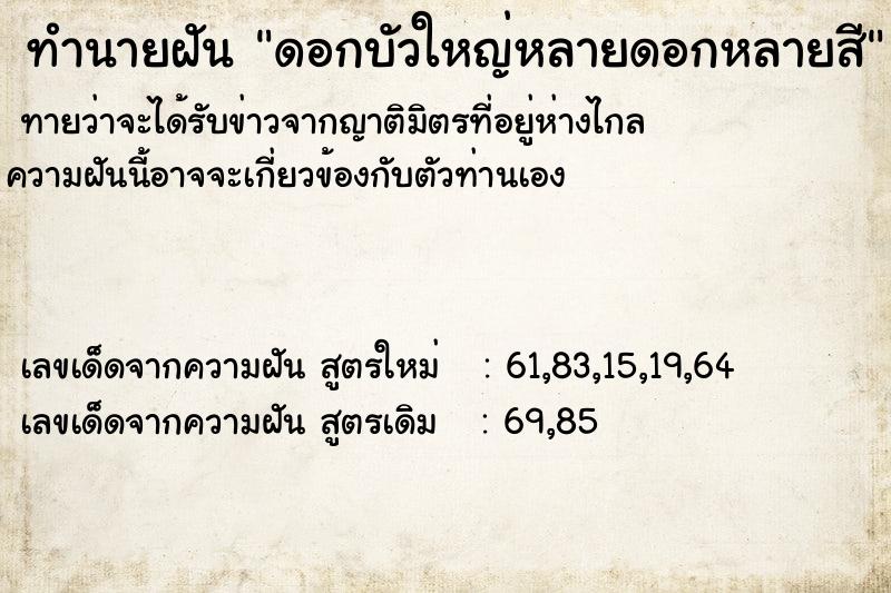 ทำนายฝันดอกบัวใหญ่หลายดอกหลายสี ทำนายฝันทำนายฝันดอกบัวใหญ่หลายดอกหลายสี