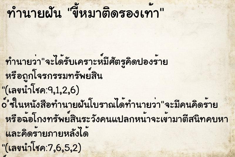 ทำนายฝันขี้หมาติดรองเท้า ทำนายฝันทำนายฝันขี้หมาติดรองเท้า