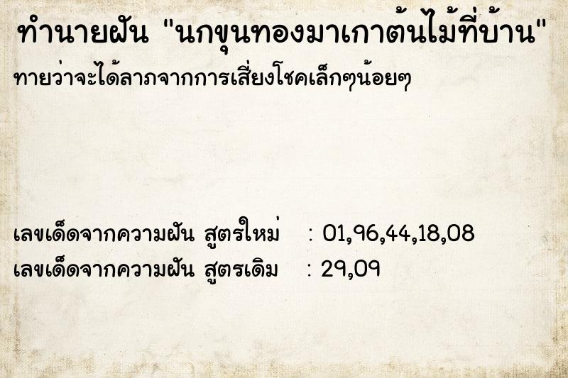 ทำนายฝันทำนายฝันนกขุนทองมาเกาต้นไม้ที่บ้าน