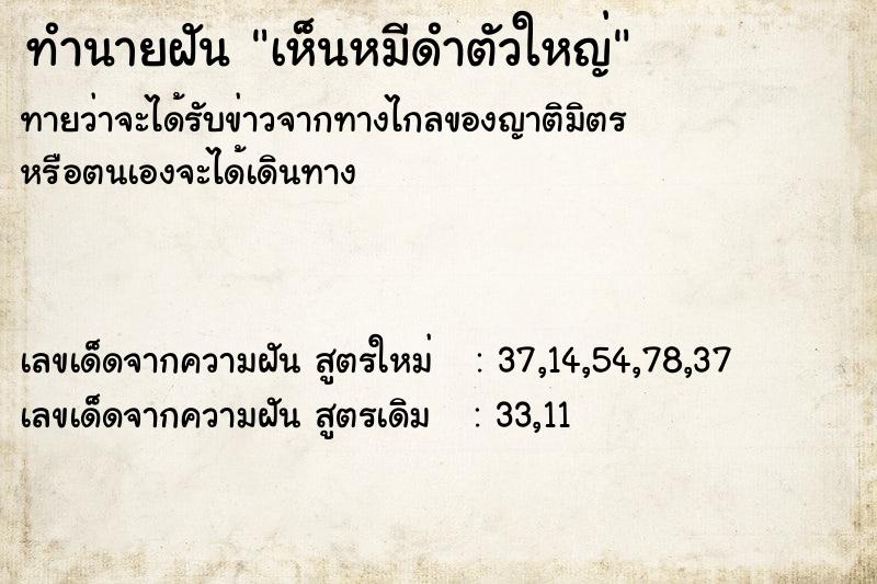 ทำนายฝันทำนายฝันเห็นหมีดำตัวใหญ่