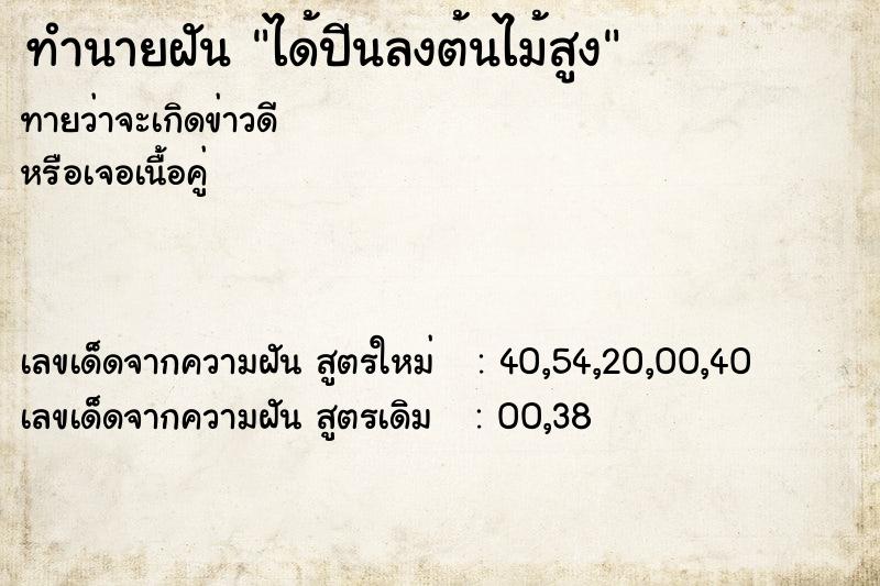 ทำนายฝันทำนายฝันได้ปีนลงต้นไม้สูง