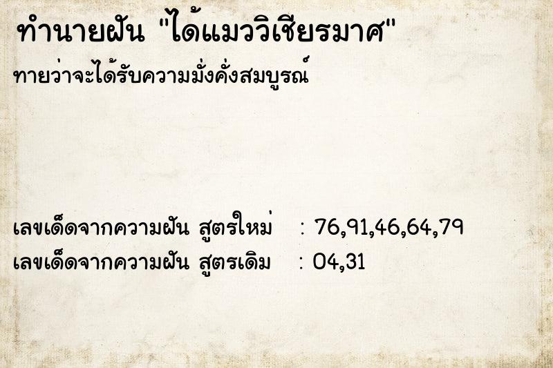 ทำนายฝัน ได้แมววิเชียรมาศ ทำนายฝัน ได้แมววิเชียรมาศ