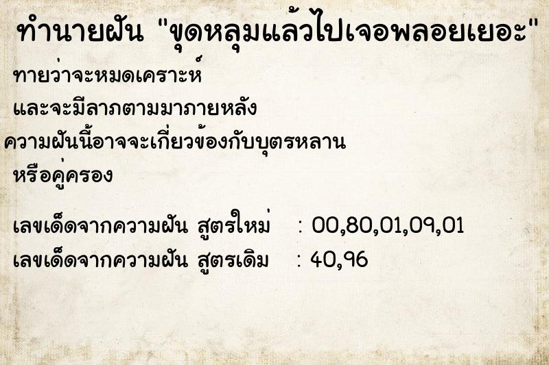ทำนายฝันทำนายฝันขุดหลุมแล้วไปเจอพลอยเยอะ