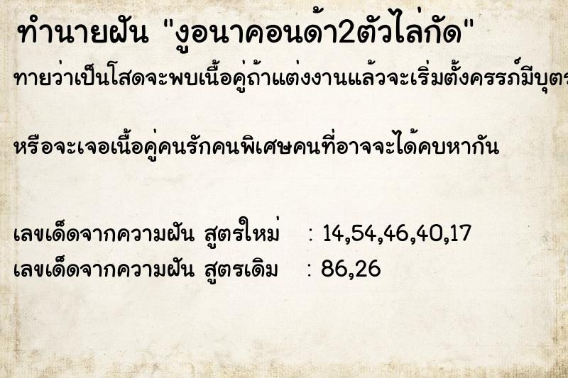 ทำนายฝันงูอนาคอนด้า2ตัวไล่กัด ทำนายฝันทำนายฝันงูอนาคอนด้า2ตัวไล่กัด