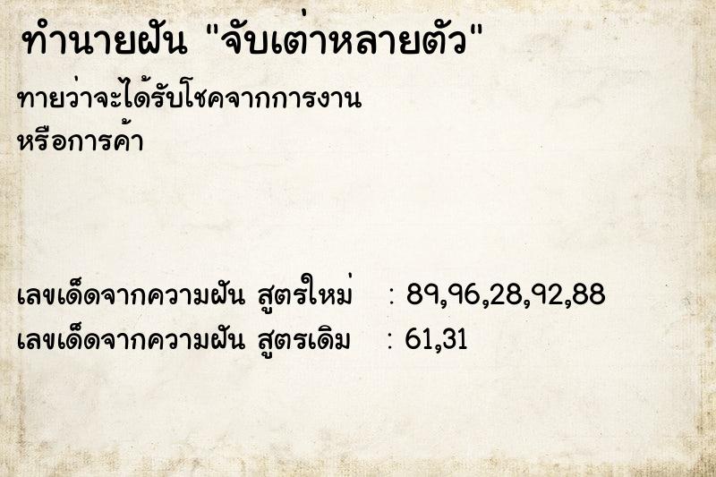 ทำนายฝันทำนายฝันจับเต่าหลายตัว