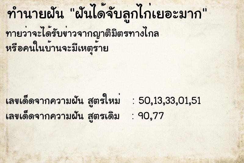 ทำนายฝันทำนายฝันฝันได้จับลูกไก่เยอะมาก