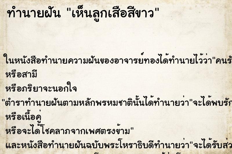 ทำนายฝัน เห็นลูกเสือสีขาว ทำนายฝัน เห็นลูกเสือสีขาว
