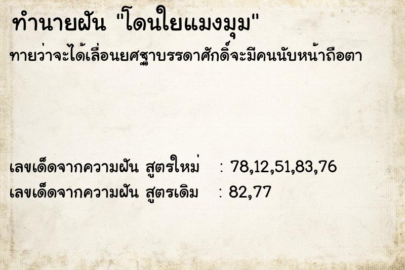 ทำนายฝัน โดนใยแมงมุม