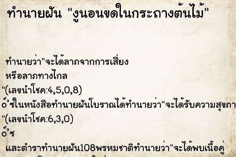ทำนายฝันงูนอนขดในกระถางต้นไม้ ทำนายฝันทำนายฝันงูนอนขดในกระถางต้นไม้