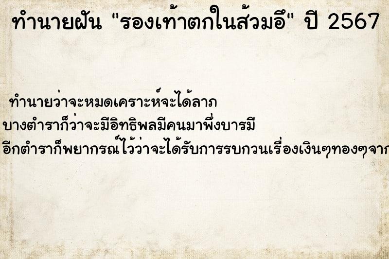 ทำนายฝันรองเท้าตกในส้วมอึ ทำนายฝันทำนายฝันรองเท้าตกในส้วมอึ