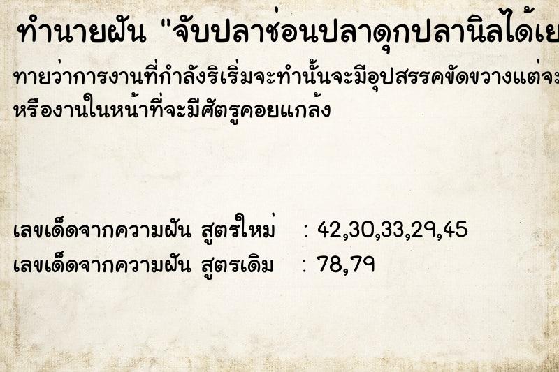 ทำนายฝันทำนายฝันจับปลาช่อนปลาดุกปลานิลได้เยอะมาก