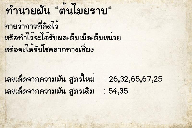 ทำนายฝัน ต้นไมยราบ ตำราโบราณ แม่นที่สุดในโลก