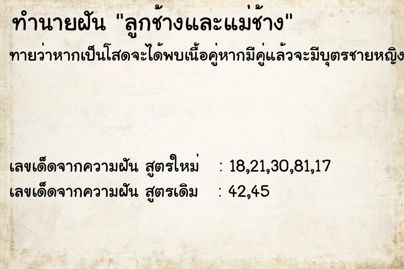 ทำนายฝันทำนายฝันลูกช้างและแม่ช้าง