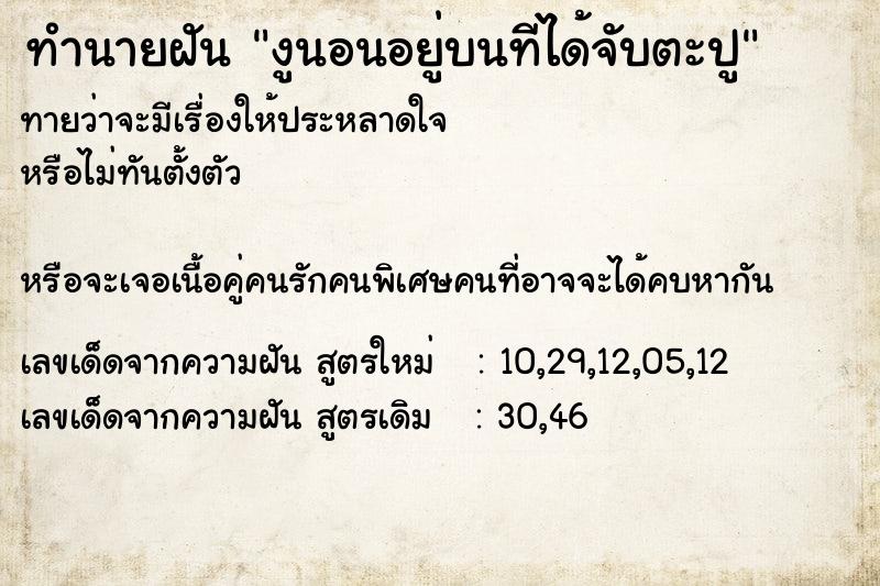 ทำนายฝันงูนอนอยู่บนทีได้จับตะปู ทำนายฝันทำนายฝันงูนอนอยู่บนทีได้จับตะปู