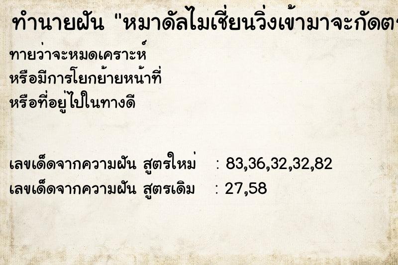 ทำนายฝันทำนายฝันหมาดัลไมเชี่ยนวิ่งเข้ามาจะกัดตรงสี่แยก